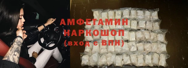 шишки Белокуриха