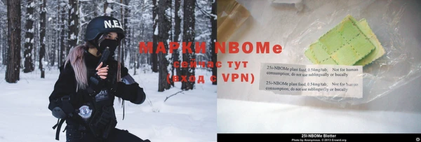 шишки Белокуриха