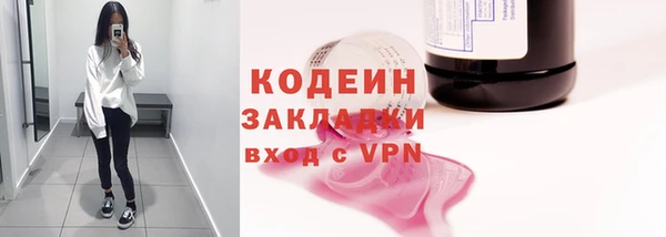 шишки Белокуриха