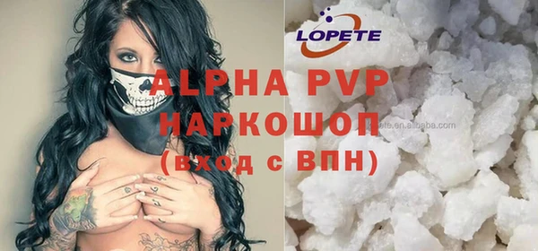 шишки Белокуриха