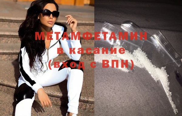 шишки Белокуриха