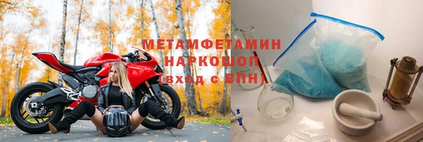 шишки Белокуриха