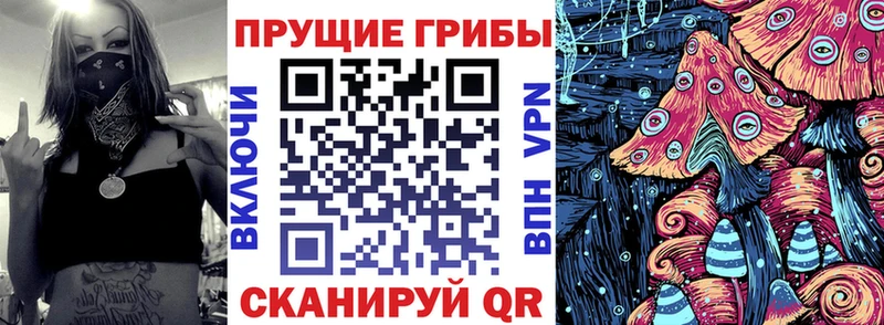 Галлюциногенные грибы ЛСД  Купить где  Северобайкальск 